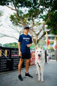 perro en centro comercial 