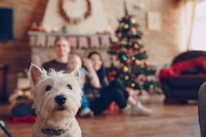 navidad en familia