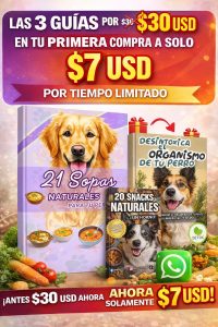 recetas naturales para perros