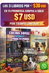 recetas naturales para perros